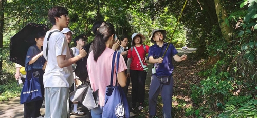 上观新闻·新民晚报：夏至：梅雨深处“半夏生”，有毒小草如何走进药典｜新民·新七十二候