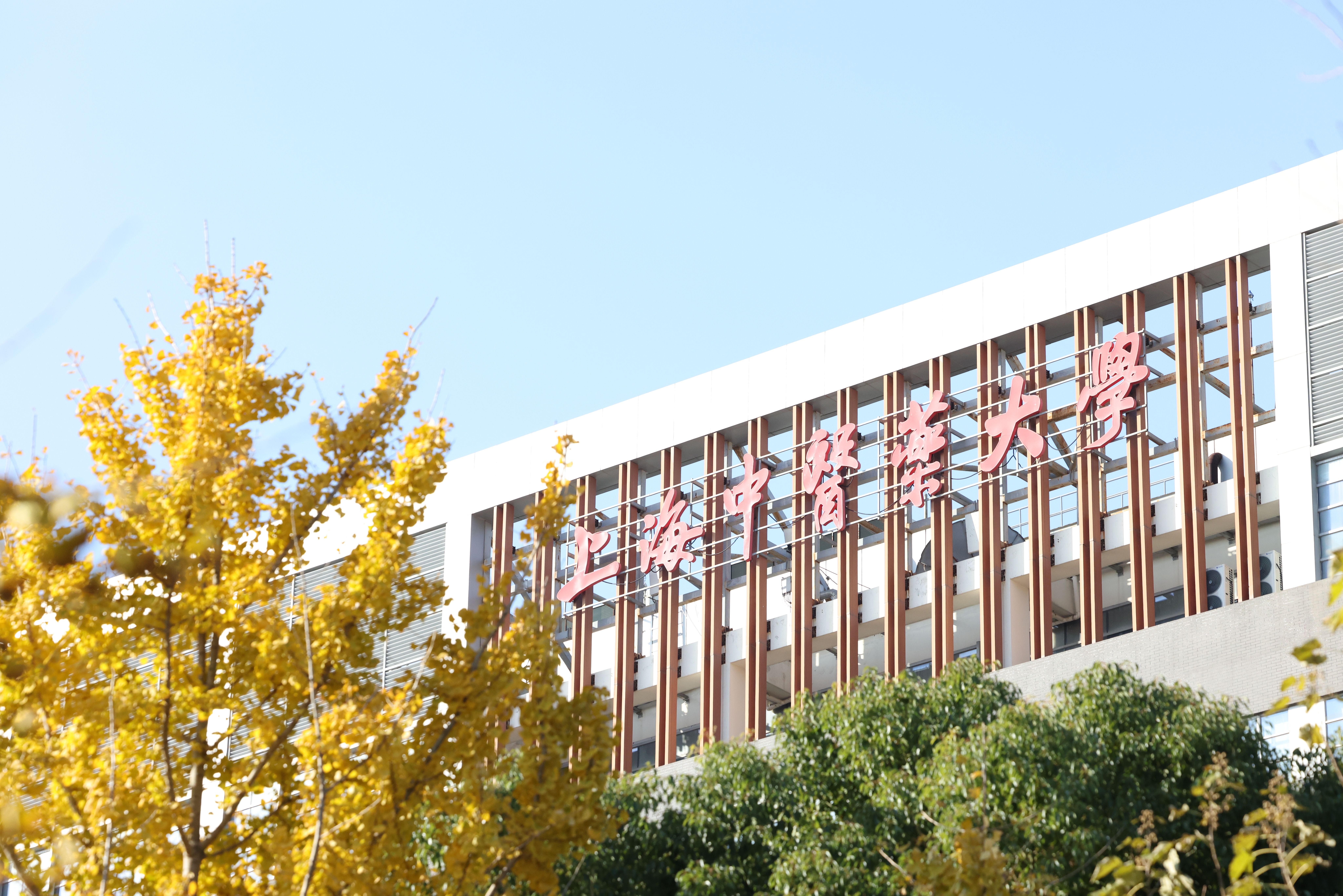 我校系统九项成果获中国民族医药学会2024年度科学技术奖
