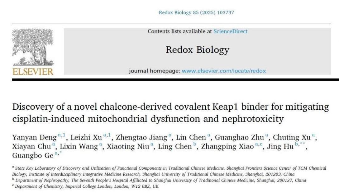 我校团队研发新型肾靶向Nrf2激动剂用于缓解急性肾损伤